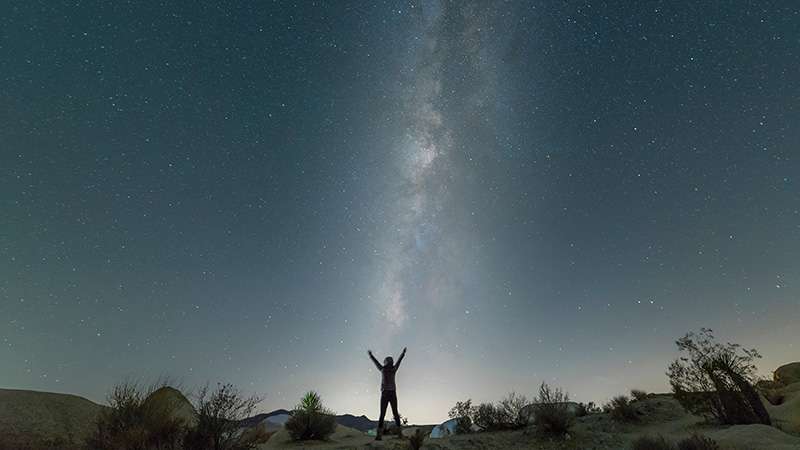 Joshua Tree Milky Way