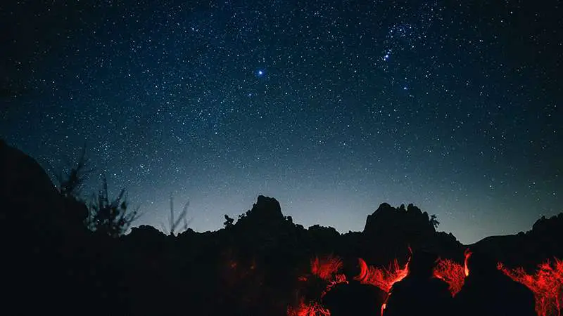 Joshua Tree Stargazing