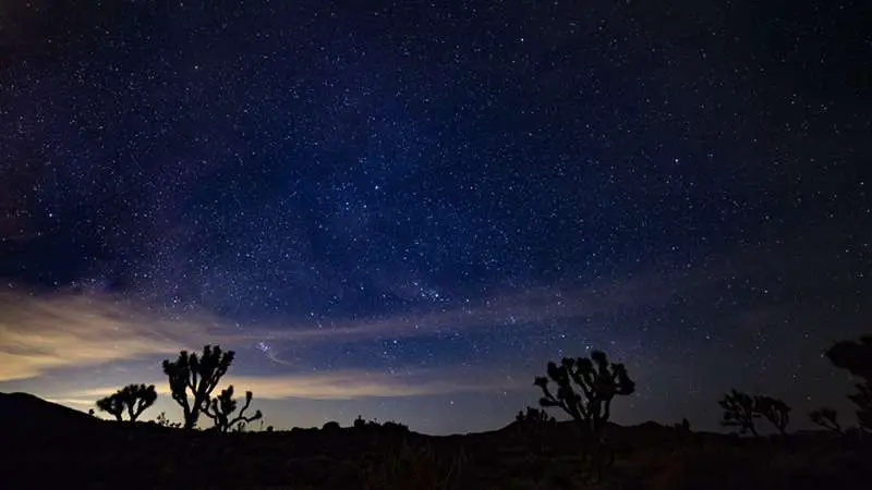 Joshua Tree