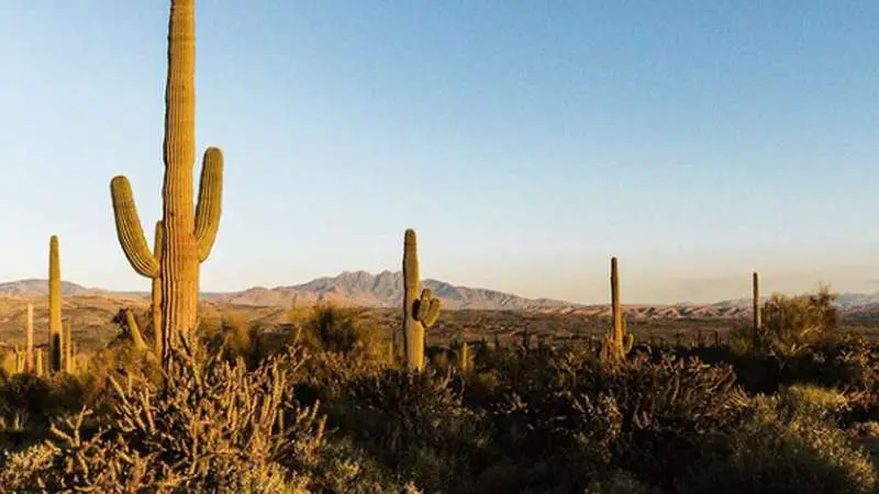 McDowell Mountain Regional Park photo courtesy of Fallon Lyles