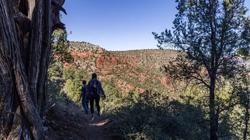 Turkey Creek Trail