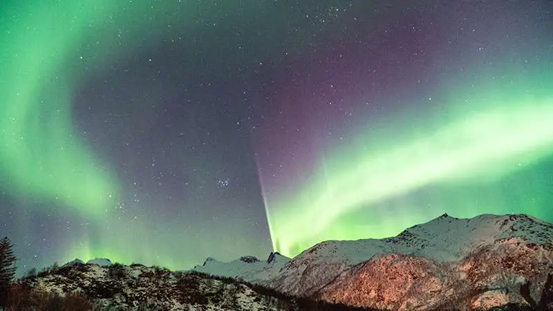 Night skies are getting clearer as rising energy costs keep light pollution  down, charity says