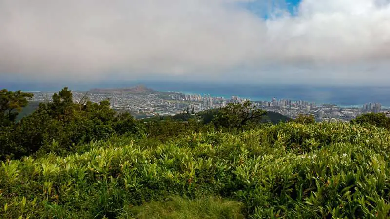 Tantalus Summit photo credit Studio Elepaio Flickr