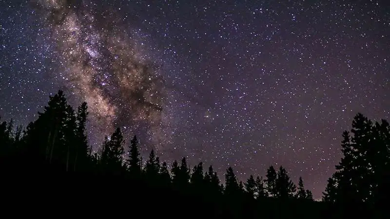 stargazing in the forest