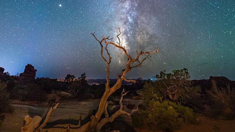 Arches National Park what to look for and where to go