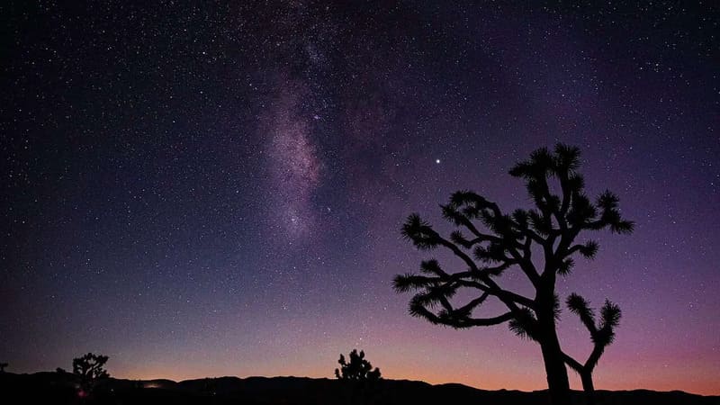 Is Joshua Tree Good For Stargazing
