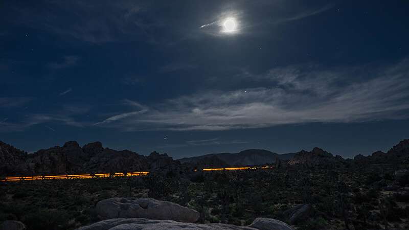 Joshua Tree under a full moon with stars