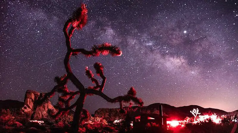 Stargazing Camp at Joshua Tree