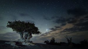 Great Basin National Park stargazing