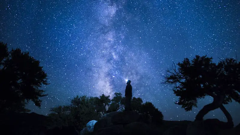 Great Basin stargazer photo credit BLM Nevada Flickr